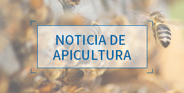 Noticia de apicultura